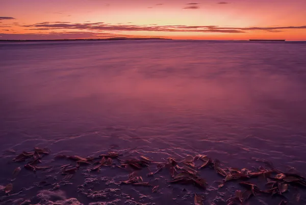 Washed Mangroves