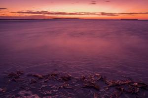 Washed Mangroves